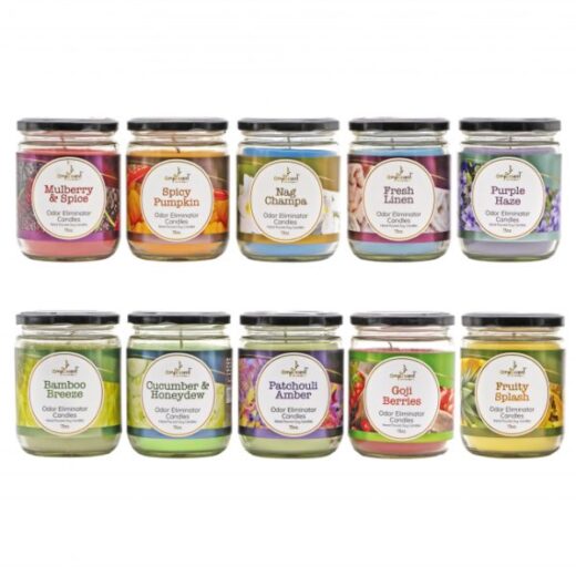 AMPLISCENT SCENTED CANDLES